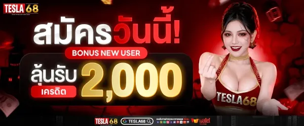 สมัครวันนี้! BONUS NEW USER